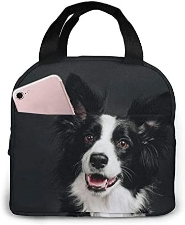 Lunchtasche mit Motiv eines ju – Women'S Young Bags Bewertung und Preis